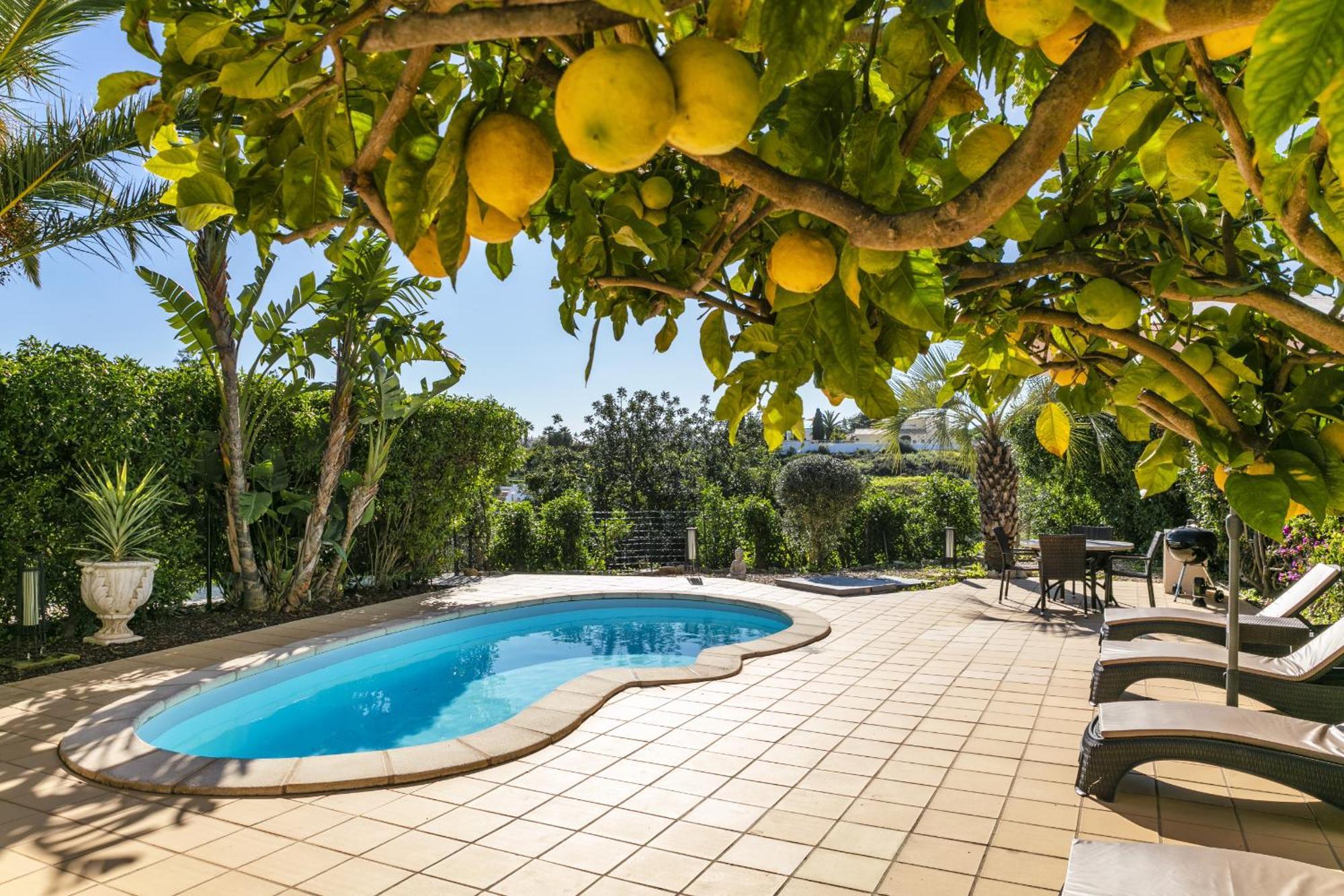 The Palm House Villa Carvoeiro  Exterior foto